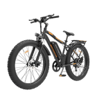 Aostirmotor 750W Electric Mountain Bike S07