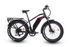 Ariel Rider Kepler 52V Local Open Box