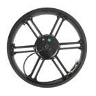 Fiido motor for T1pro