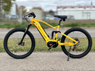 Biktrix Radiant Juggernaut Ultra FS Pro 3 MTB 19”