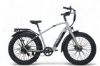 Biktrix Stunner Lite Cruise Step-Over