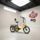 Citytri E-310 Electric Trike