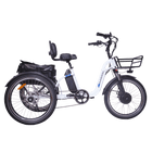 Dwmeigi MG2303 BLAZER