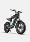 Engwe M20