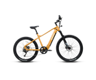 ENVO ENVO D50 - Electric Hardtail Mountain Bike