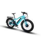 Zeus Ebikes FAT-AWD 600W Ebike