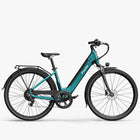 Fiido Fiido C11 City E-Bike