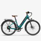 Fiido Fiido C11 Pro: Lightweight, 65 miles Long Range, IP54 Waterproof