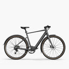 Fiido Fiido C21 Gravel & City E-Bike