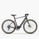 Fiido Fiido E-Gravel C21 Electric Bike