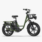 Fiido Fiido T1 Pro Utility Electric Bike