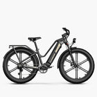 Fiido Titan Fat Tire Hunting and Touring Ebike - Long Range