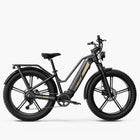 Fiido Fiido Titan Robust Cargo Electric Bike