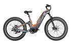 Heybike Hero