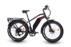 Ariel Rider Kepler 52V Local Open Box