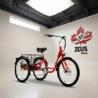 Dwmeigi Meigi Hera Electric Trike
