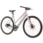 eBGO Modal ST 2024
