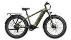 Mokwheel Basalt Ebike