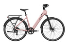 Mokwheel FLINT ST Ebike