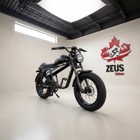 Vtuvia Tiger Retro Ebike
