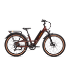 Rad Power Bikes Radster™ Trail Electric Off-Road Bike