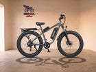 Ridstar Ridstar E Bike E26 1000W 48V 15AH Battery