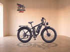Ridstar Ridstar E Bike E26 Pro Dual Motor 2000W 48V 23AH