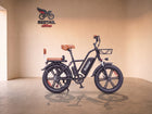 RidStar FM001