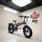Ridstar Ridstar H20 1000W Electric Mountain Bike