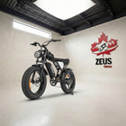 Ridstar Ridstar Q20 Lite 1000W 48V 15AH Fat Tire Electric Bicycle