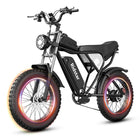 RidStar Q30 (20Ah)