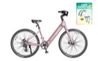 Heybike Venus
