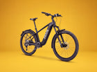 Zeus Ebikes Zeus Wolverine Electric Hardtail