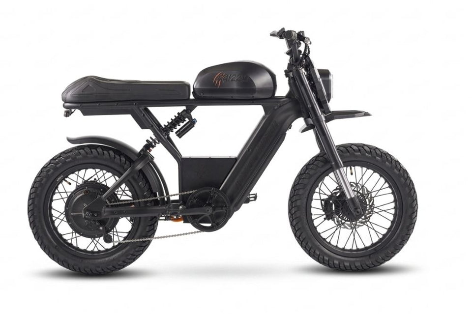 Ariel Rider Grizzly 72V - PPB