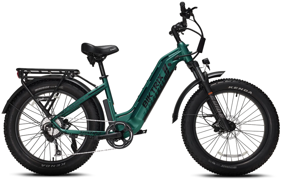 Biktrix Juggernaut Hub Duo Step-Thru 2