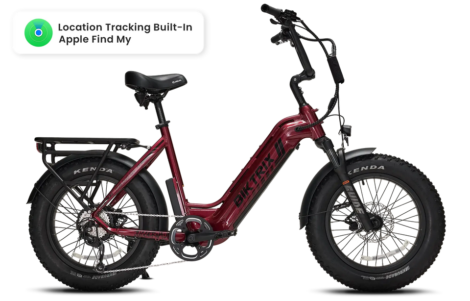 Biktrix Juggernaut Hub Duo Step-Thru Small 2