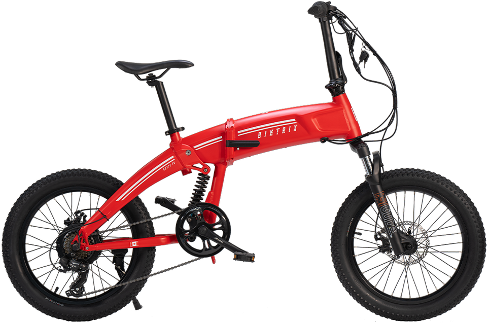 Biktrix Kutty FS