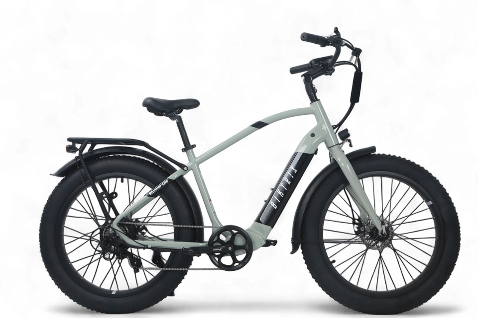 Biktrix Stunner Lite Cruise Step-Over