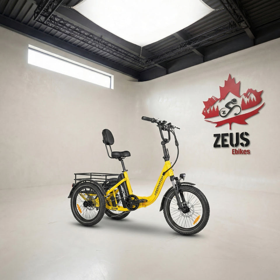 Citytri E-310 Electric Trike