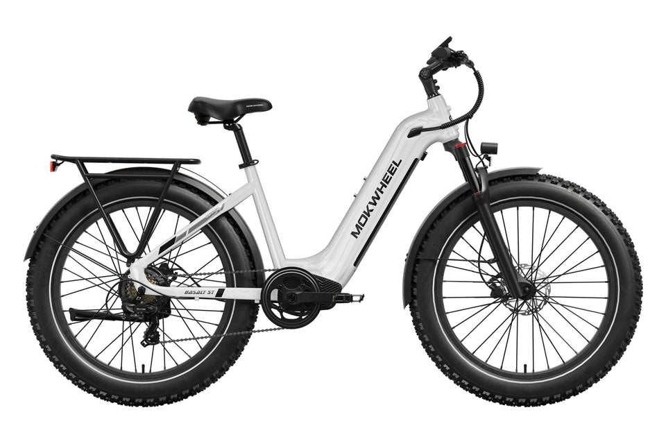 Mokwheel Basalt ST Ebike