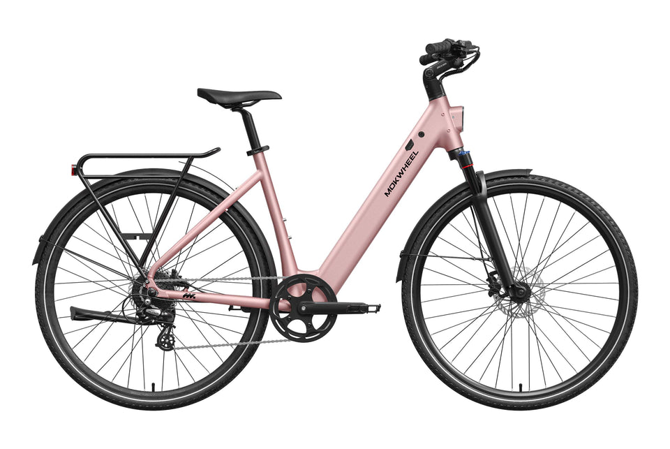 Mokwheel FLINT ST Ebike