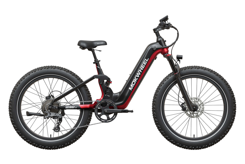 Mokwheel Obsidian ST 2.0 Ebike