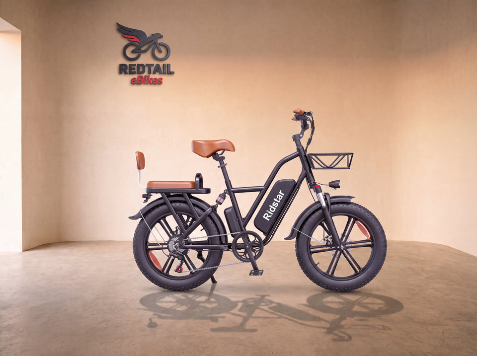 RidStar FM001