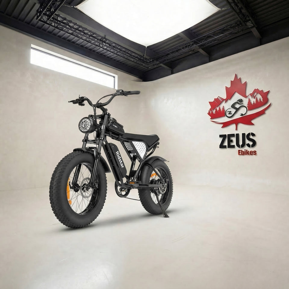 Ridstar Ridstar Q20 Lite 1000W 48V 15AH Fat Tire Electric Bicycle